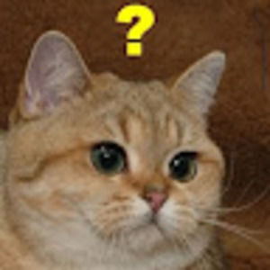 Meet your Posher, Gabriel